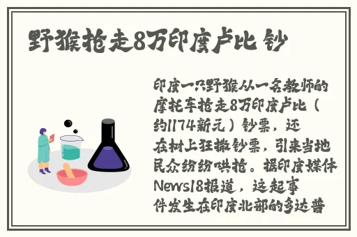 日本潮水rapper超多